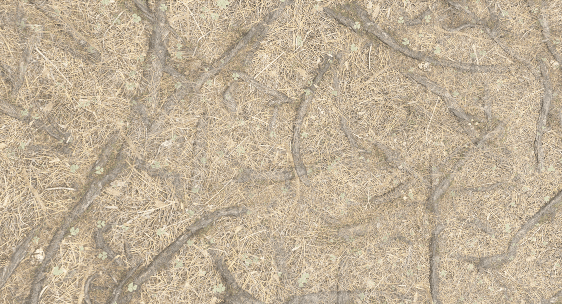 Second Image
